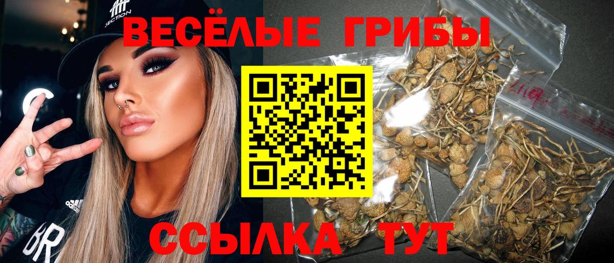 наркотики  Вход с VPN  Грозный  Галлюциногенные грибы MAGIC MUSHROOMS 