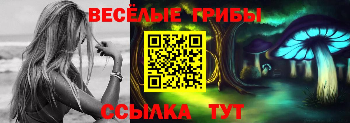 Галлюциногенные грибы мицелий Грозный